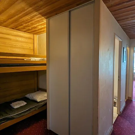 Chaleureux Au Pied Des Pistes, Animaux Admis - Fr-1-811-9 Apartment Les Deux Alpes