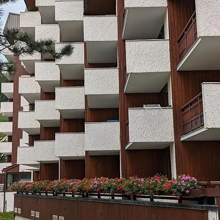 Appartement Chaleureux Au Pied Des Pistes, Animaux Admis - Fr-1-811-9